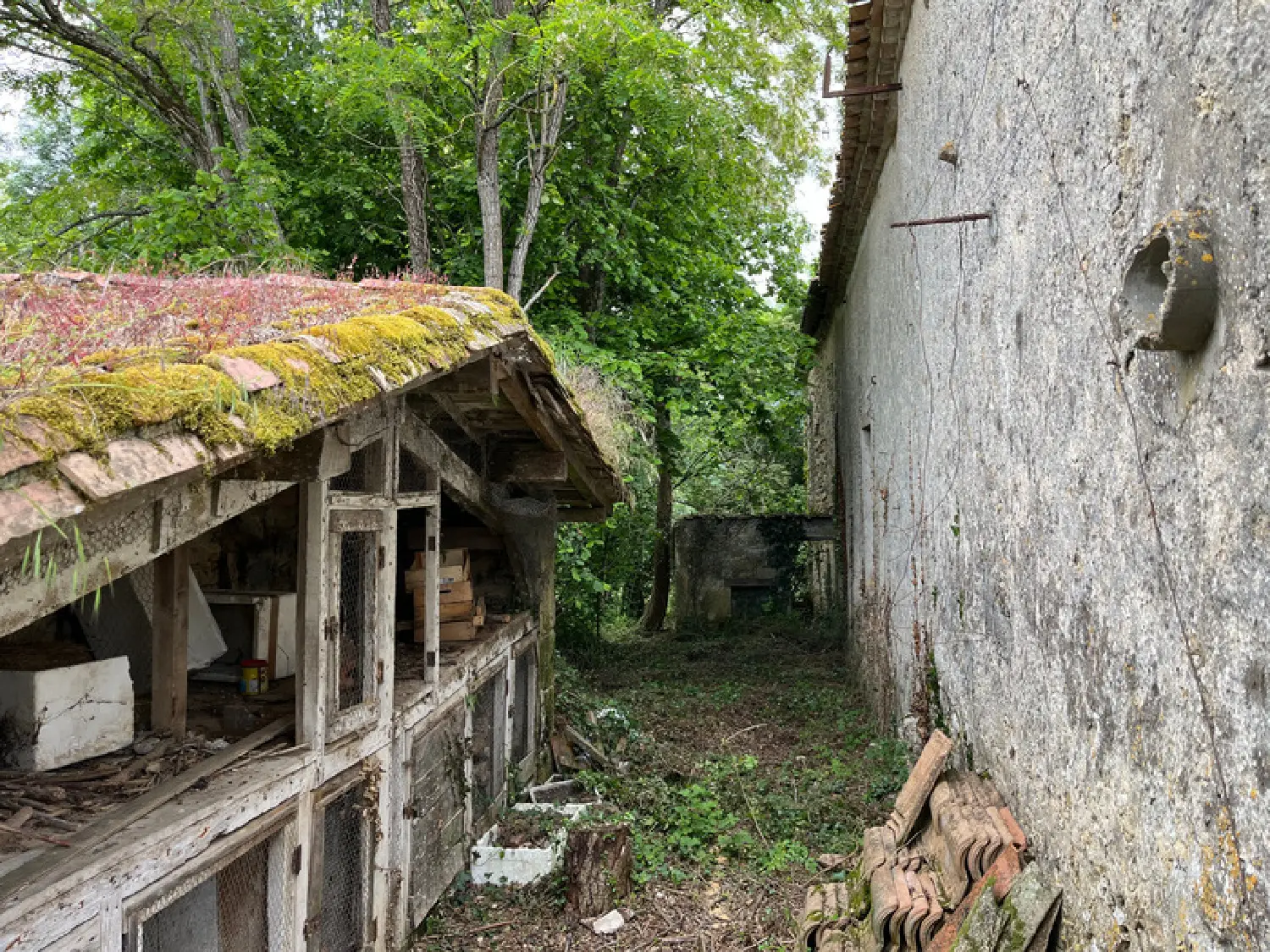  à vendre maison Cleyrac Gironde 6
