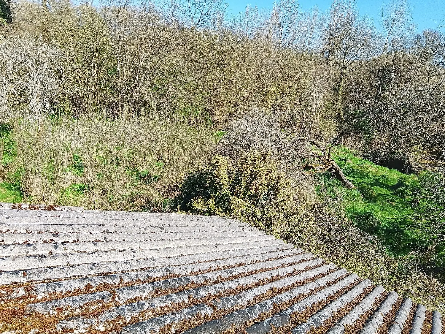  en venta casa Collorec Finistère 7