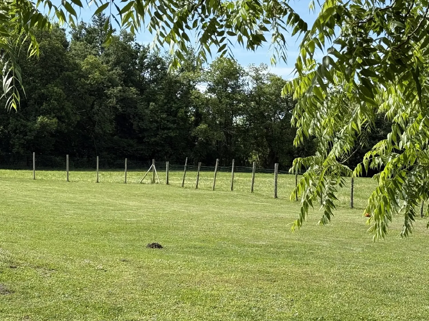  en venta casa Combiers Charente 5
