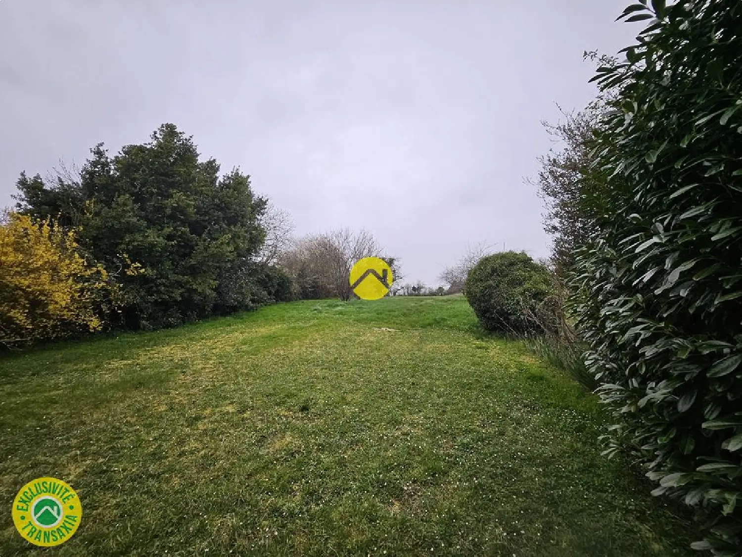  à vendre maison Cornusse Cher 2