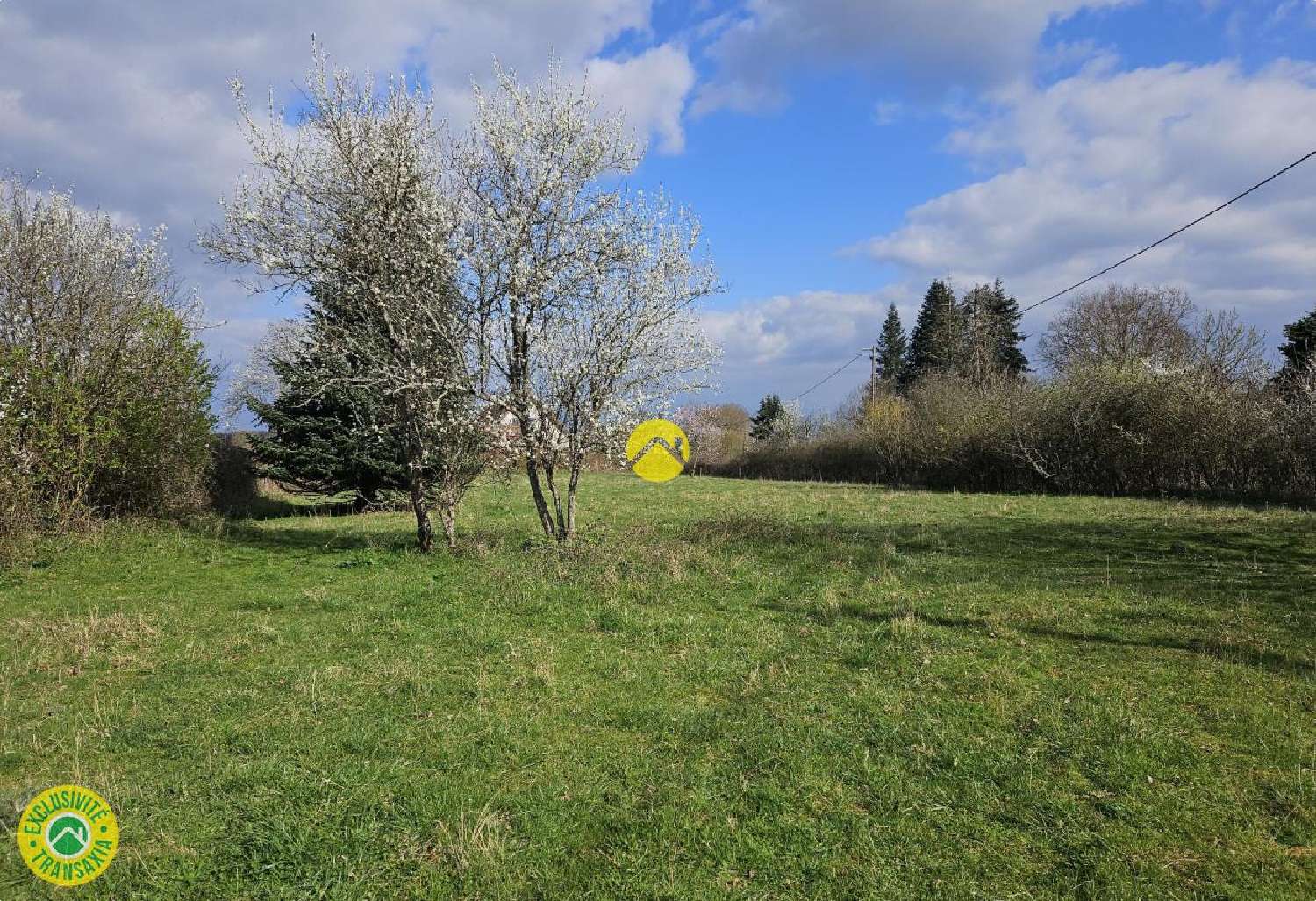  te koop huis Cosne-d'Allier Allier 5