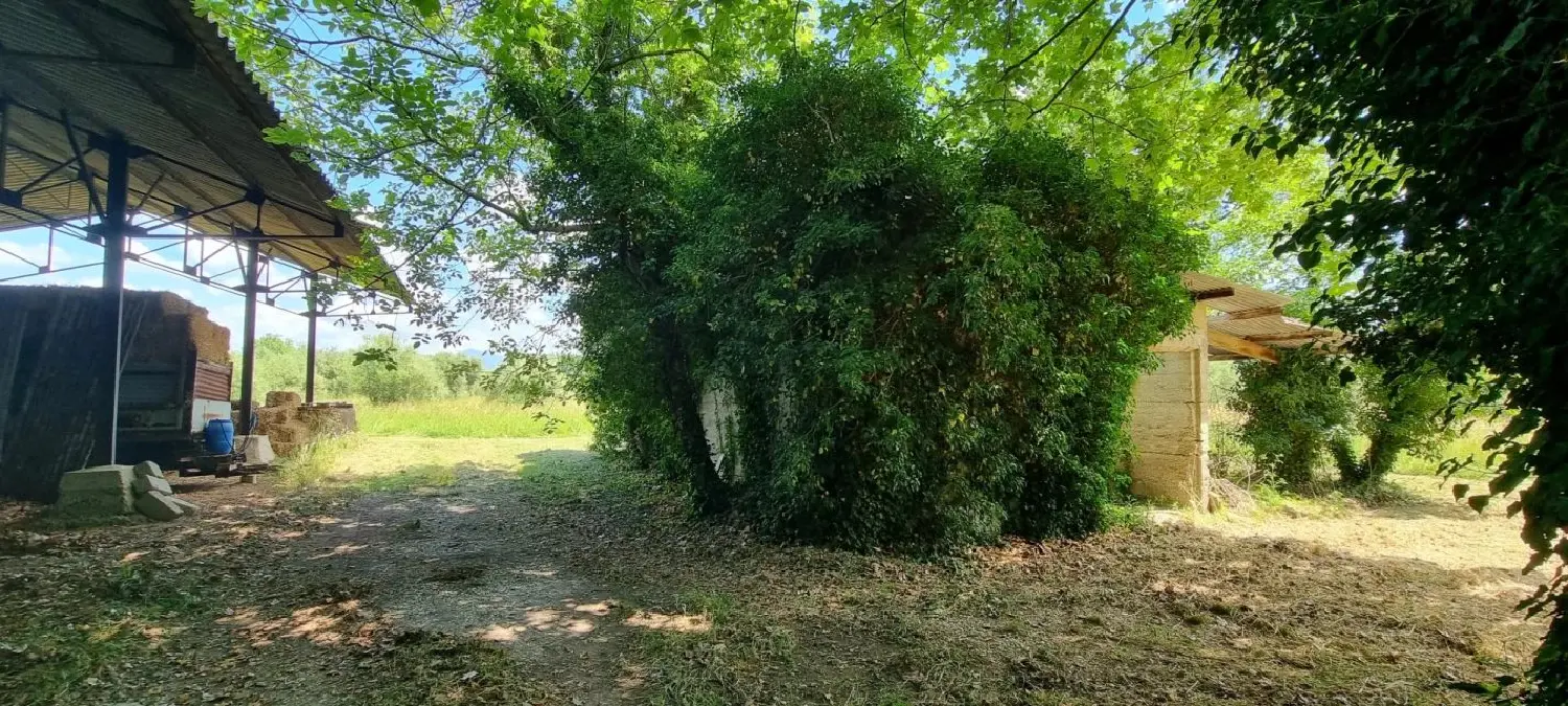  à vendre maison Courthézon Vaucluse 5