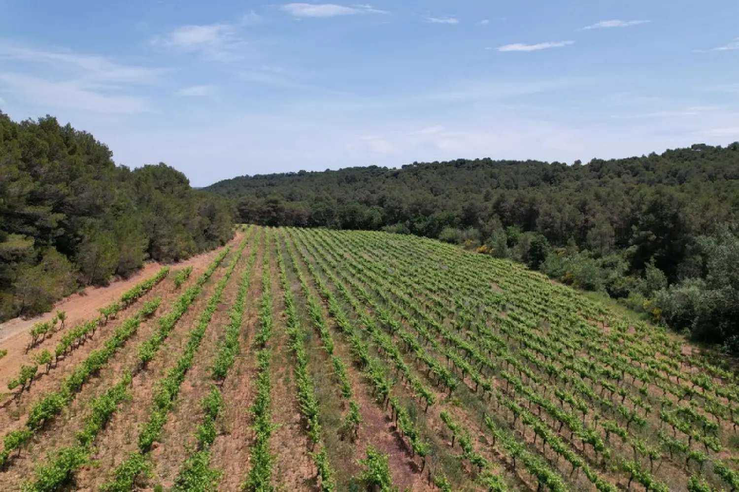  en venta casa Creissan Hérault 2