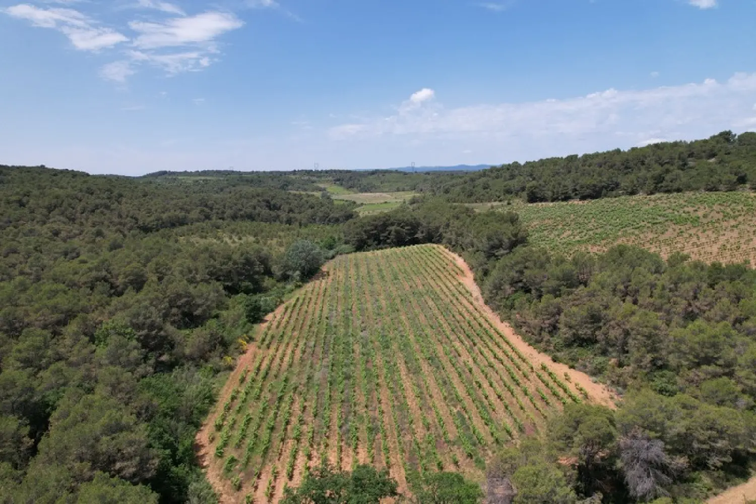  en venta casa Creissan Hérault 3
