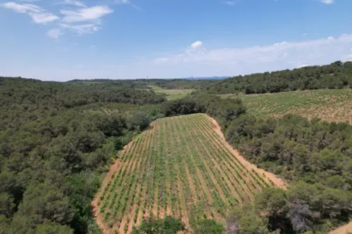  te koop huis Creissan Hérault 3