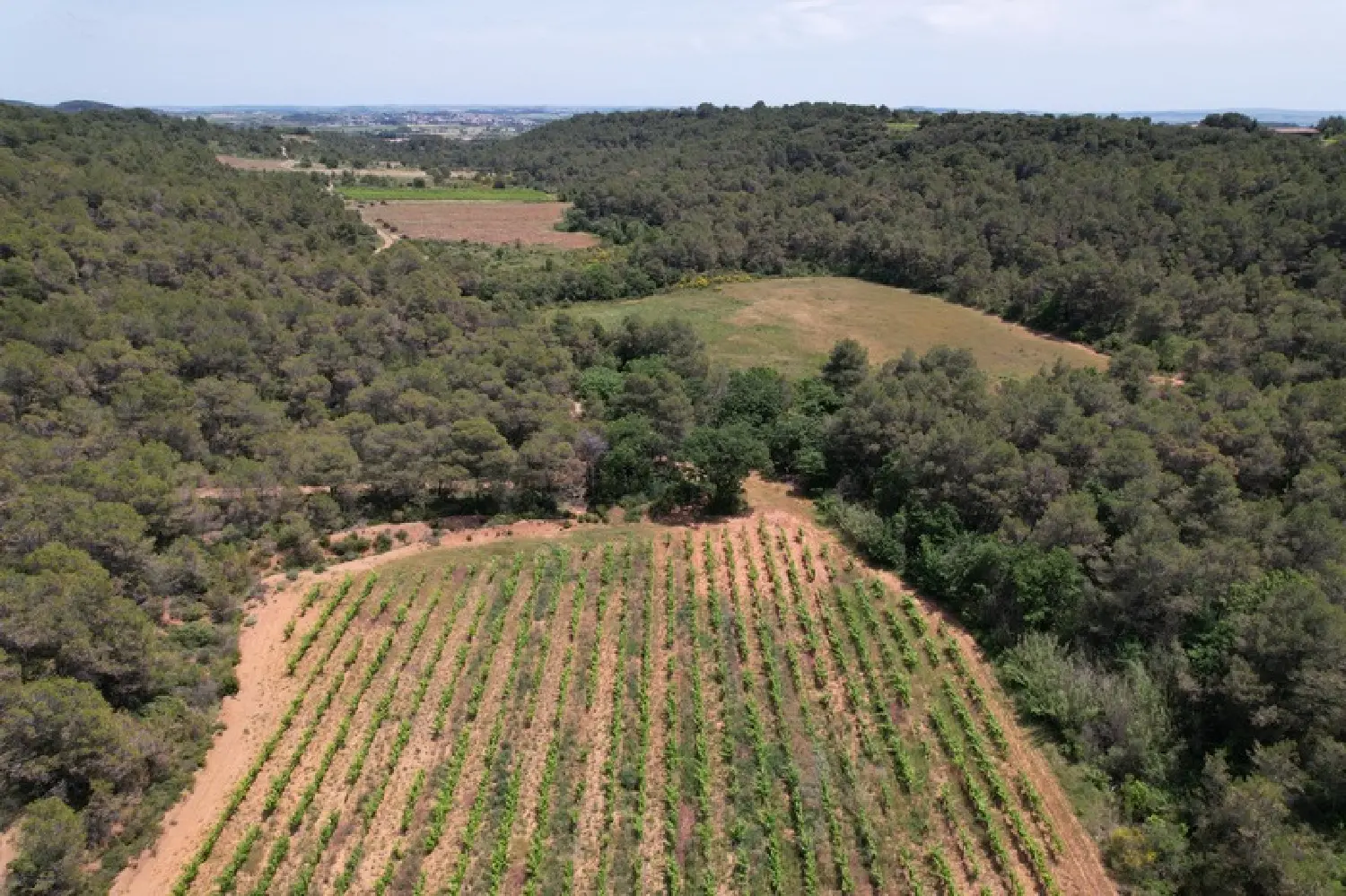  en venta casa Creissan Hérault 4