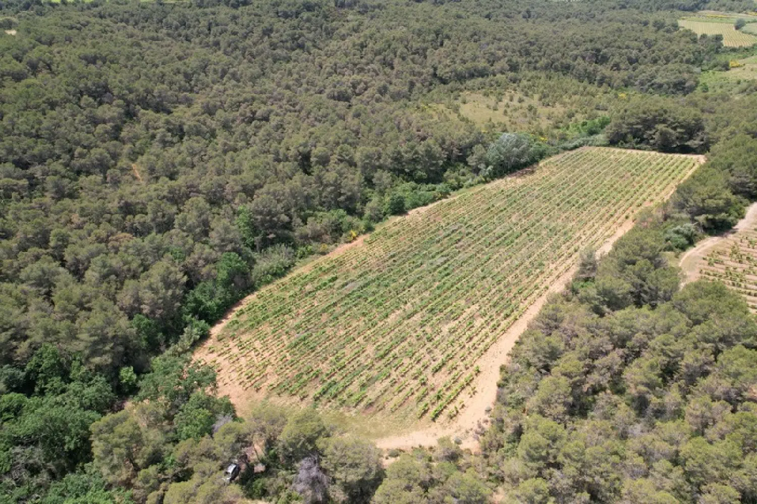  en venta casa Creissan Hérault 8