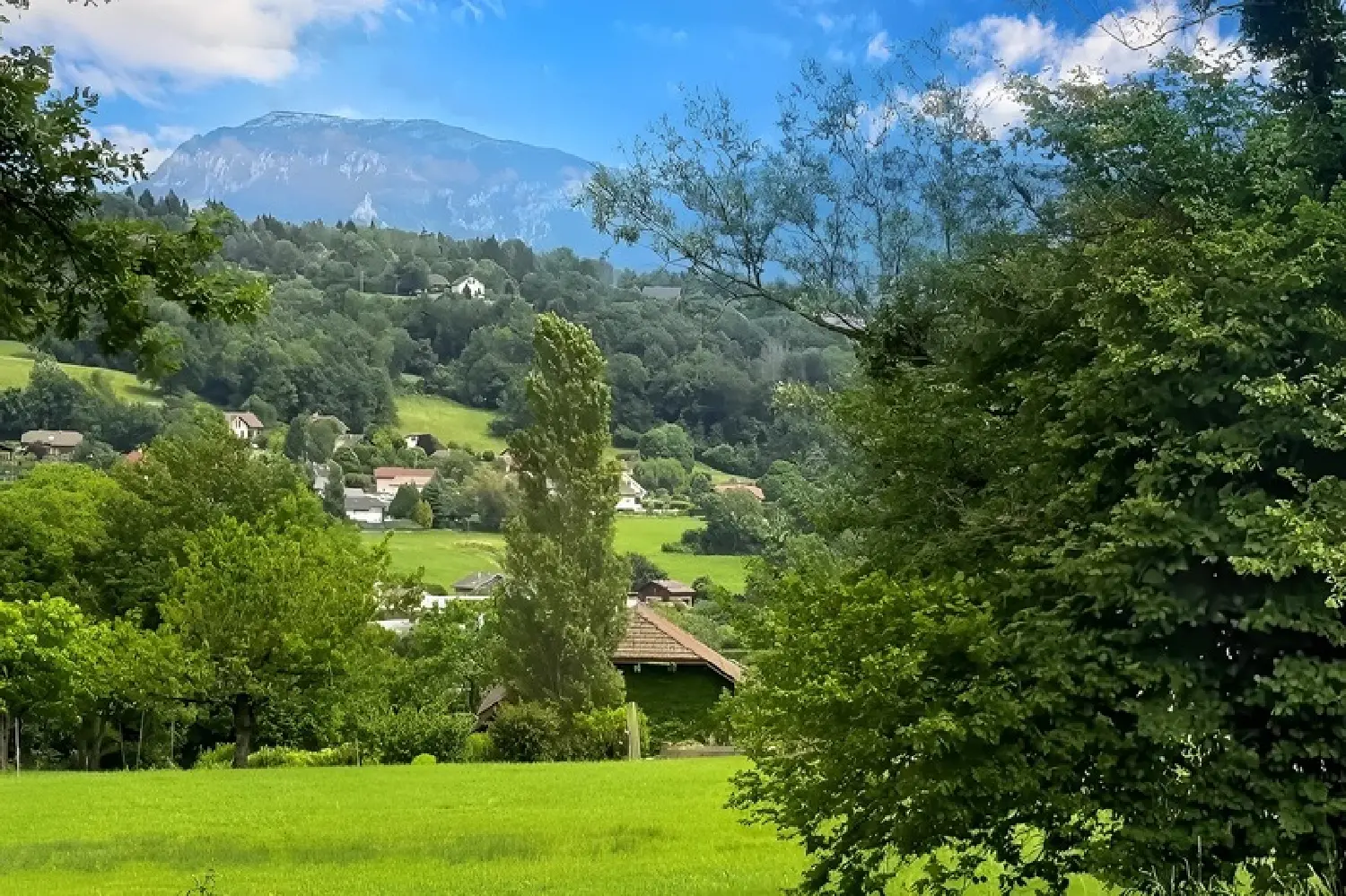  te koop huis Cuvat Haute-Savoie 2