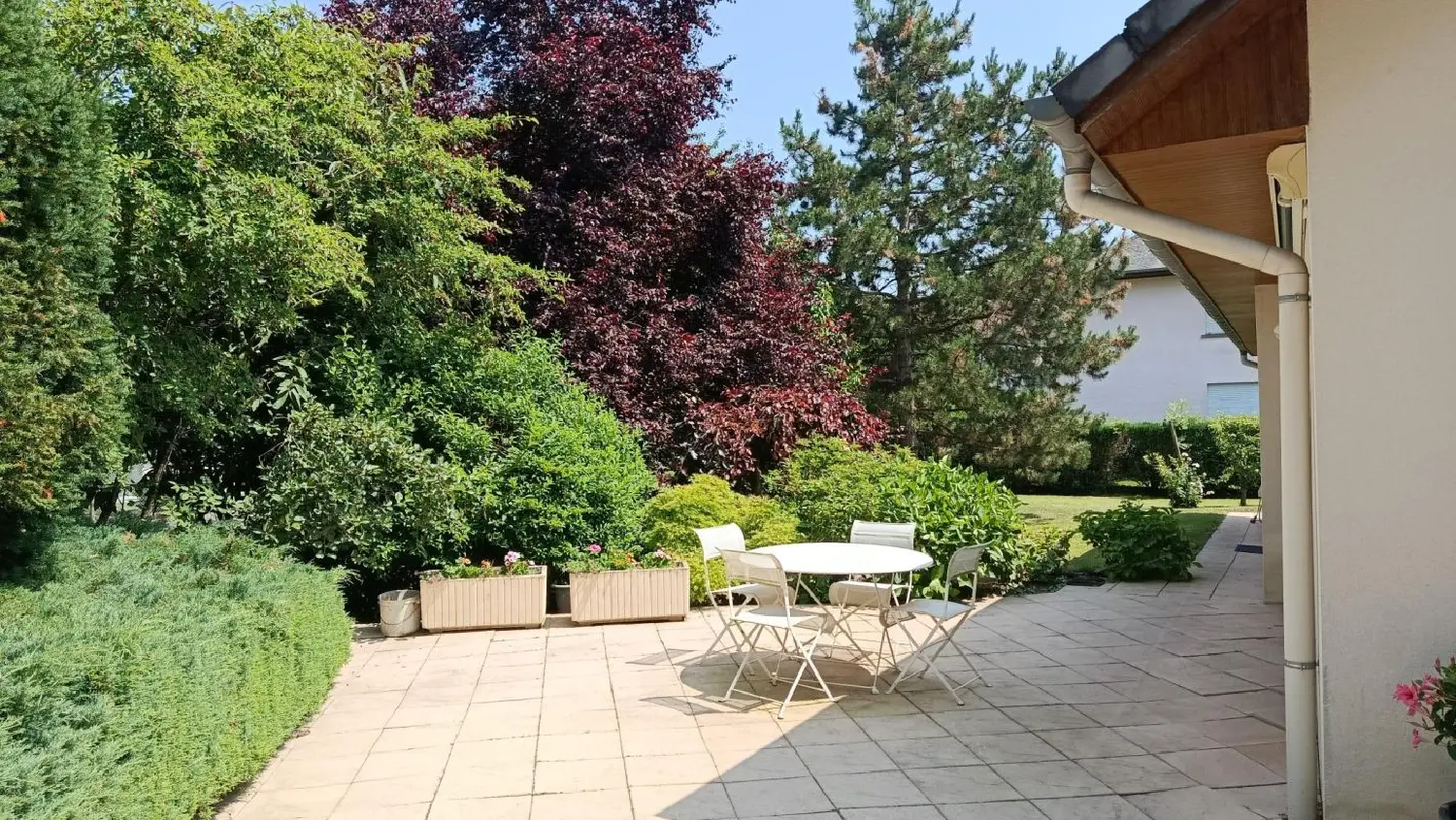  à vendre maison Dieuze Moselle 5