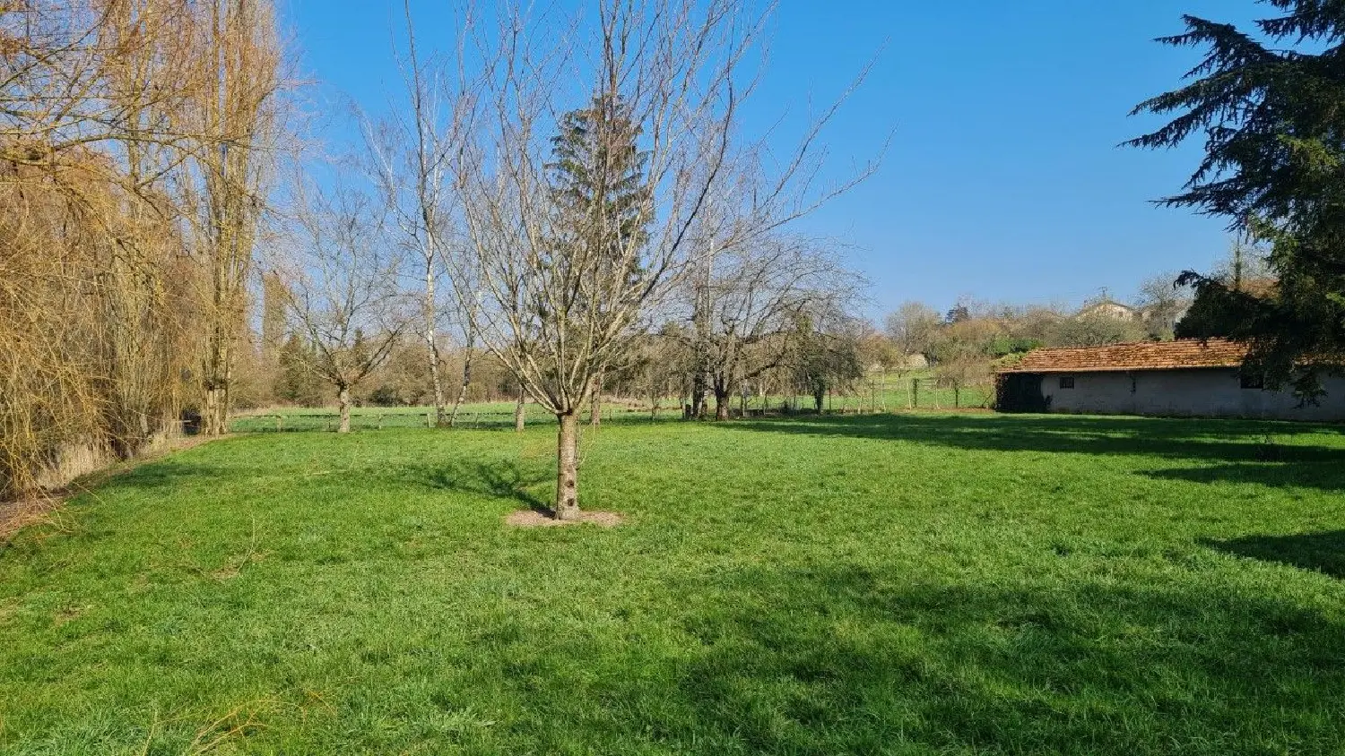  à vendre maison Dieuze Moselle 2