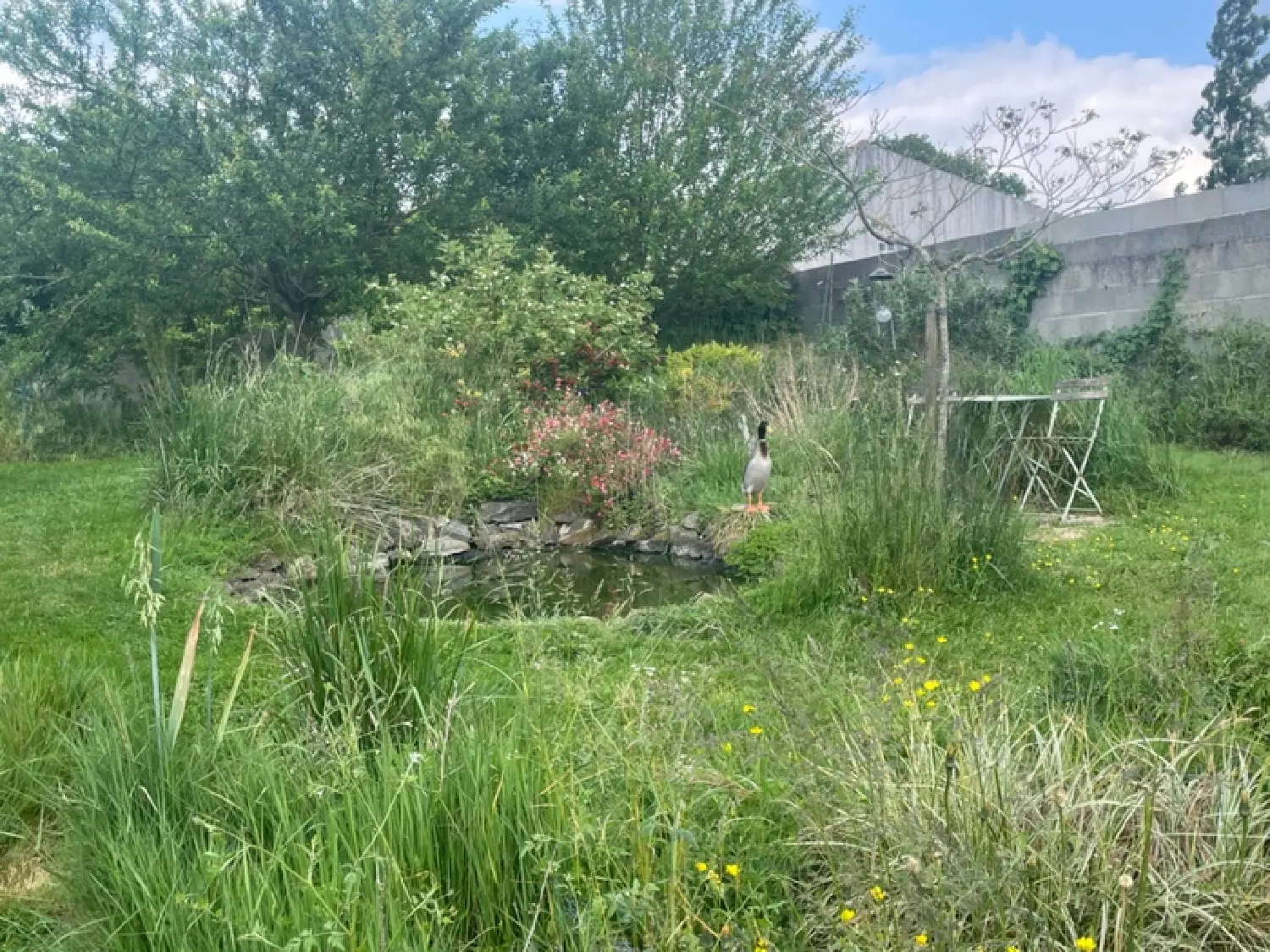  kaufen Haus Dissais Vendée 4