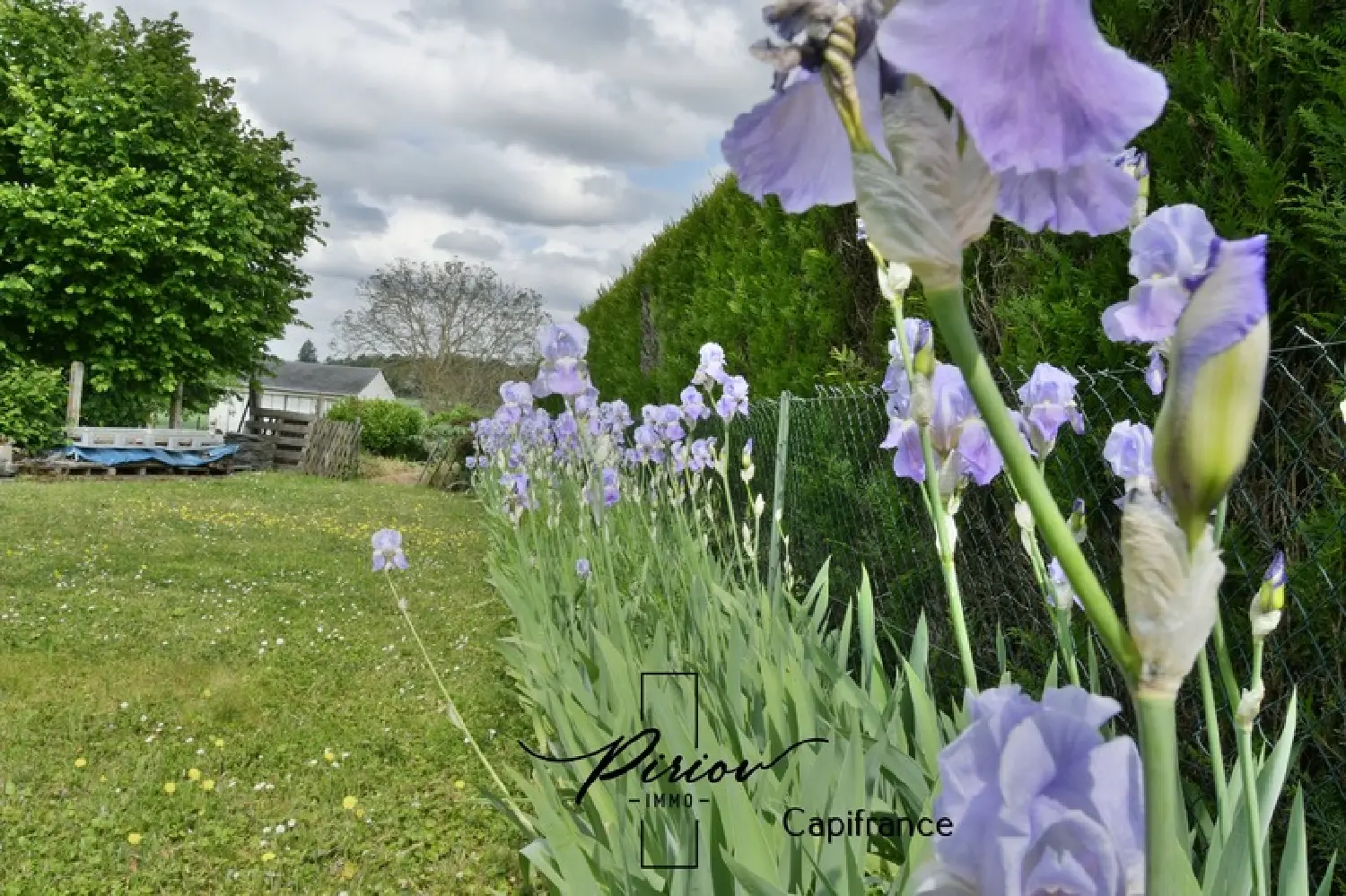  te koop huis Distré Maine-et-Loire 6