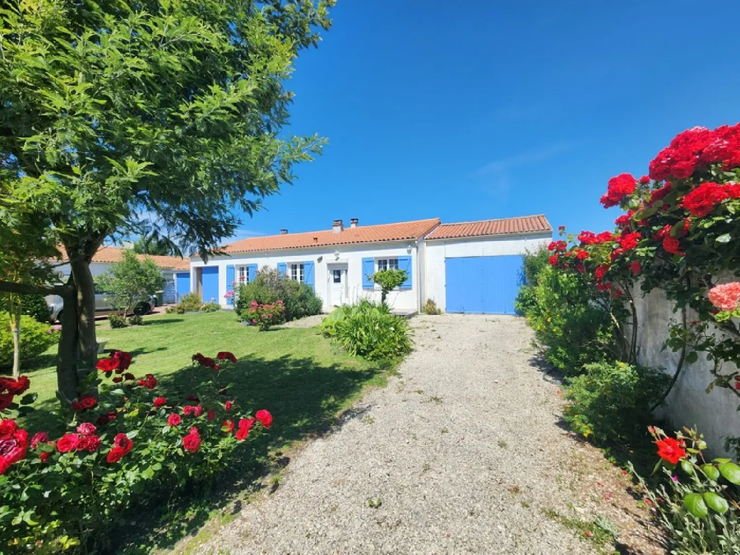  te koop huis Dolus-d'Oléron Charente-Maritime 3