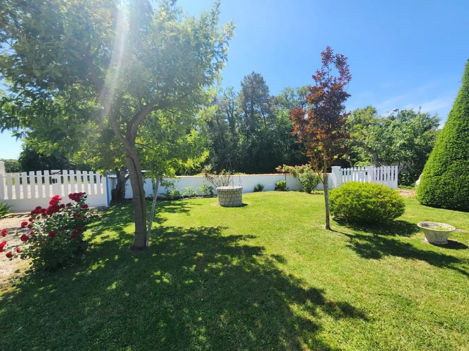  te koop huis Dolus-d'Oléron Charente-Maritime 4