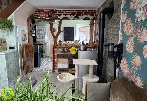 Dun-le-Palestel Creuse Haus foto
