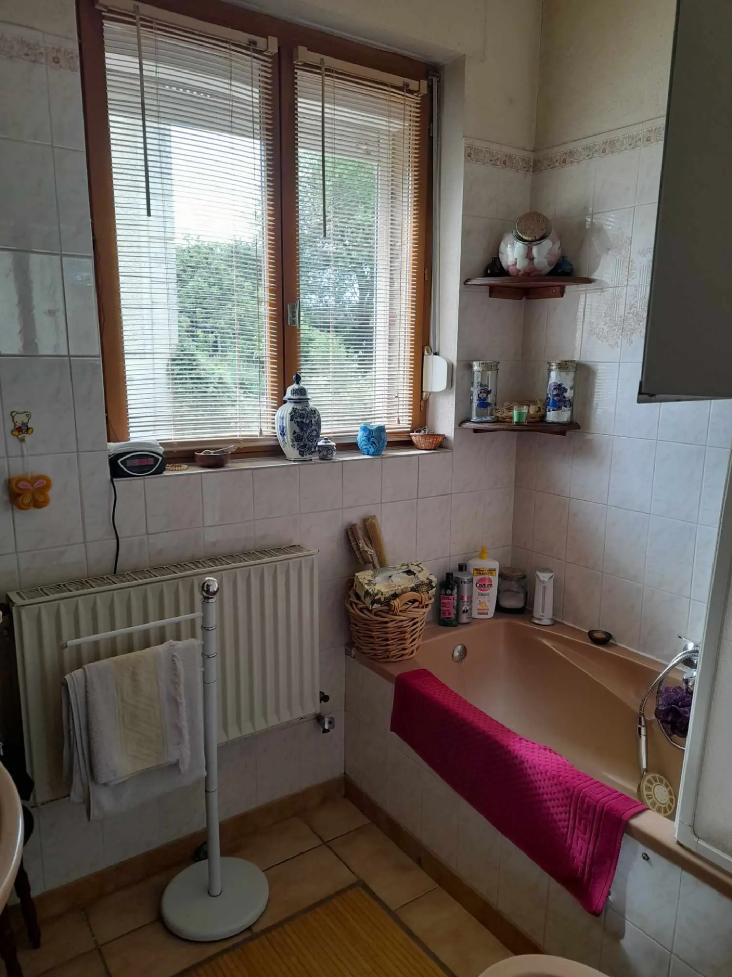  à vendre maison Englancourt Aisne 8