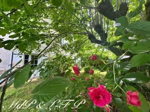 Eynesse Gironde casa foto 7091827