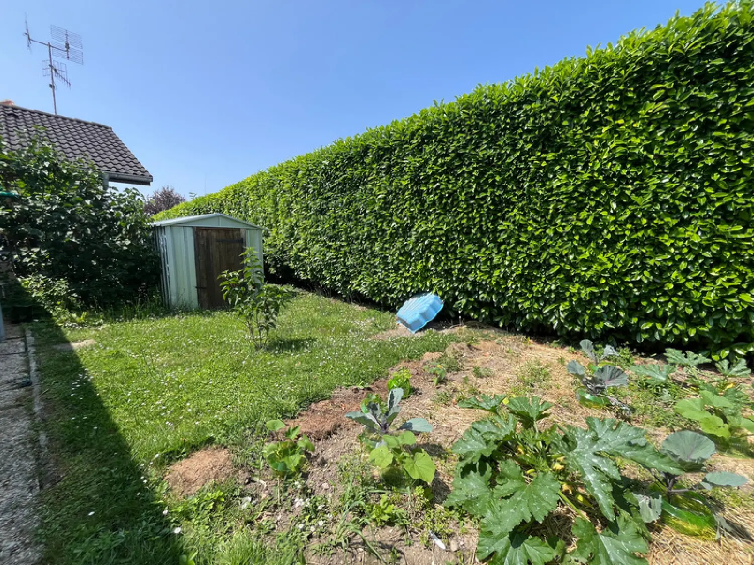  te koop huis Fessy Haute-Savoie 4