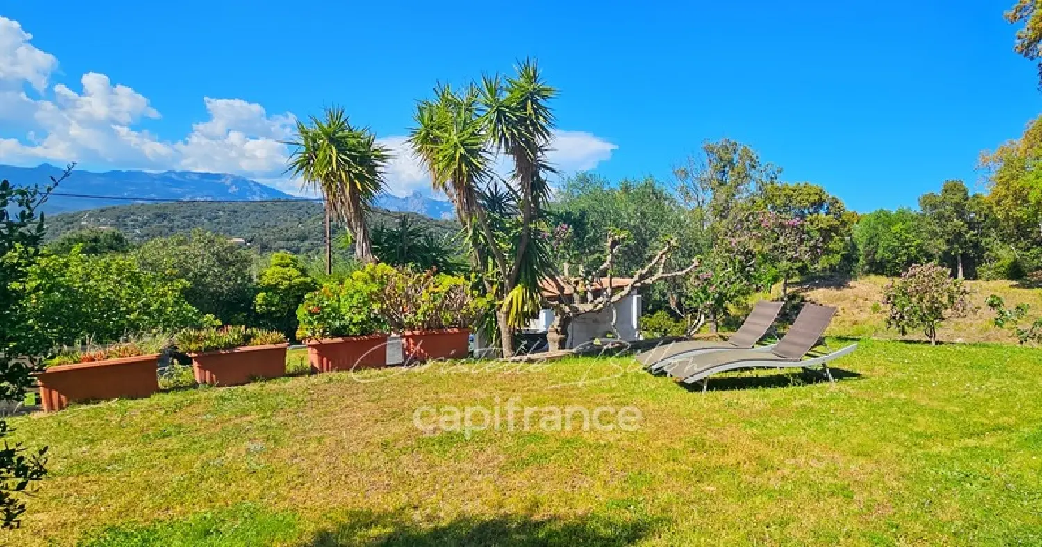  te koop huis Figari Corse-du-Sud 2