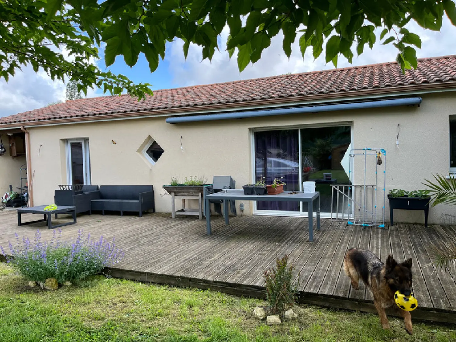 kaufen Haus Flaujagues Gironde 2