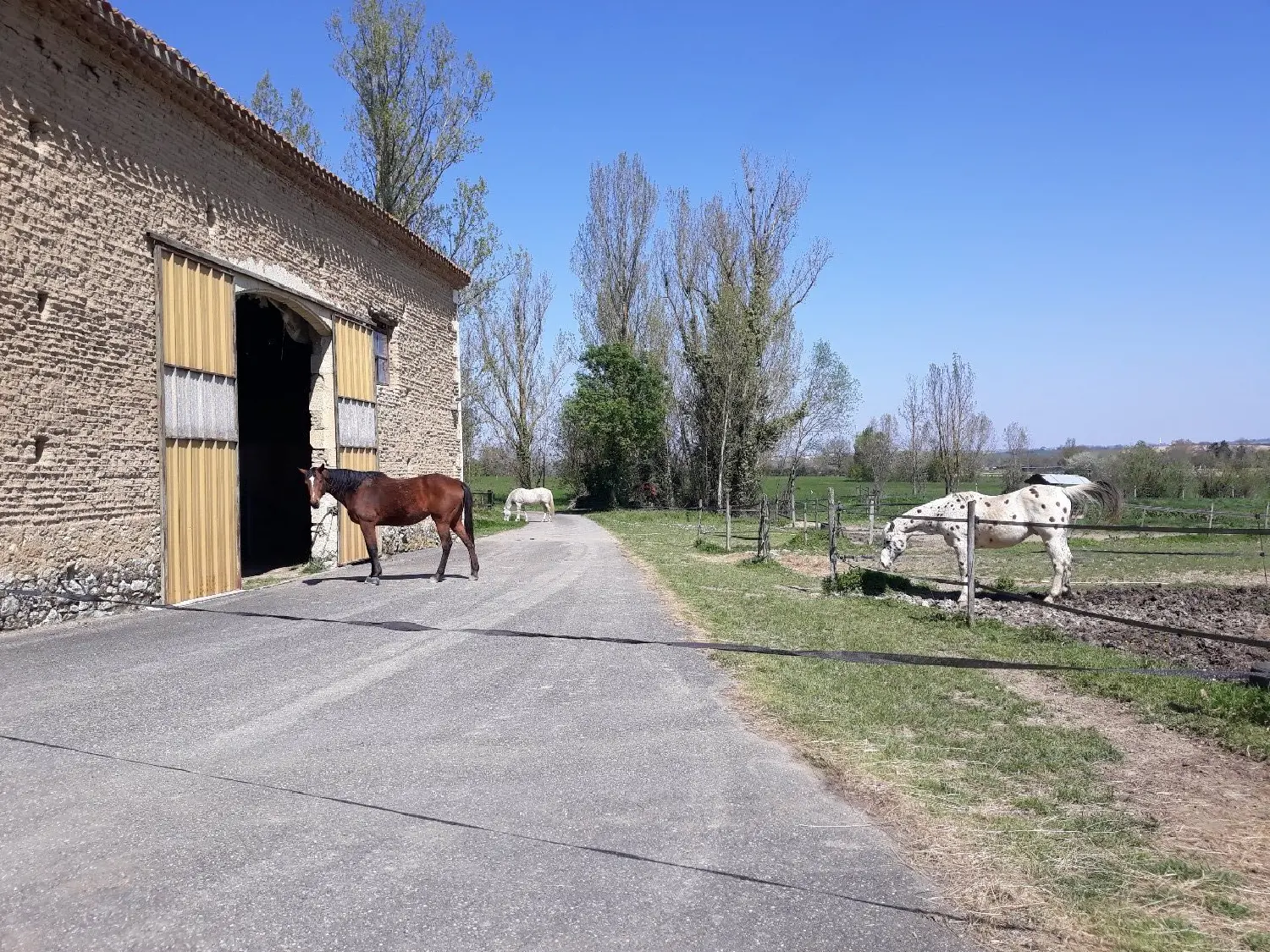  en venta casa Fleurance Gers 5