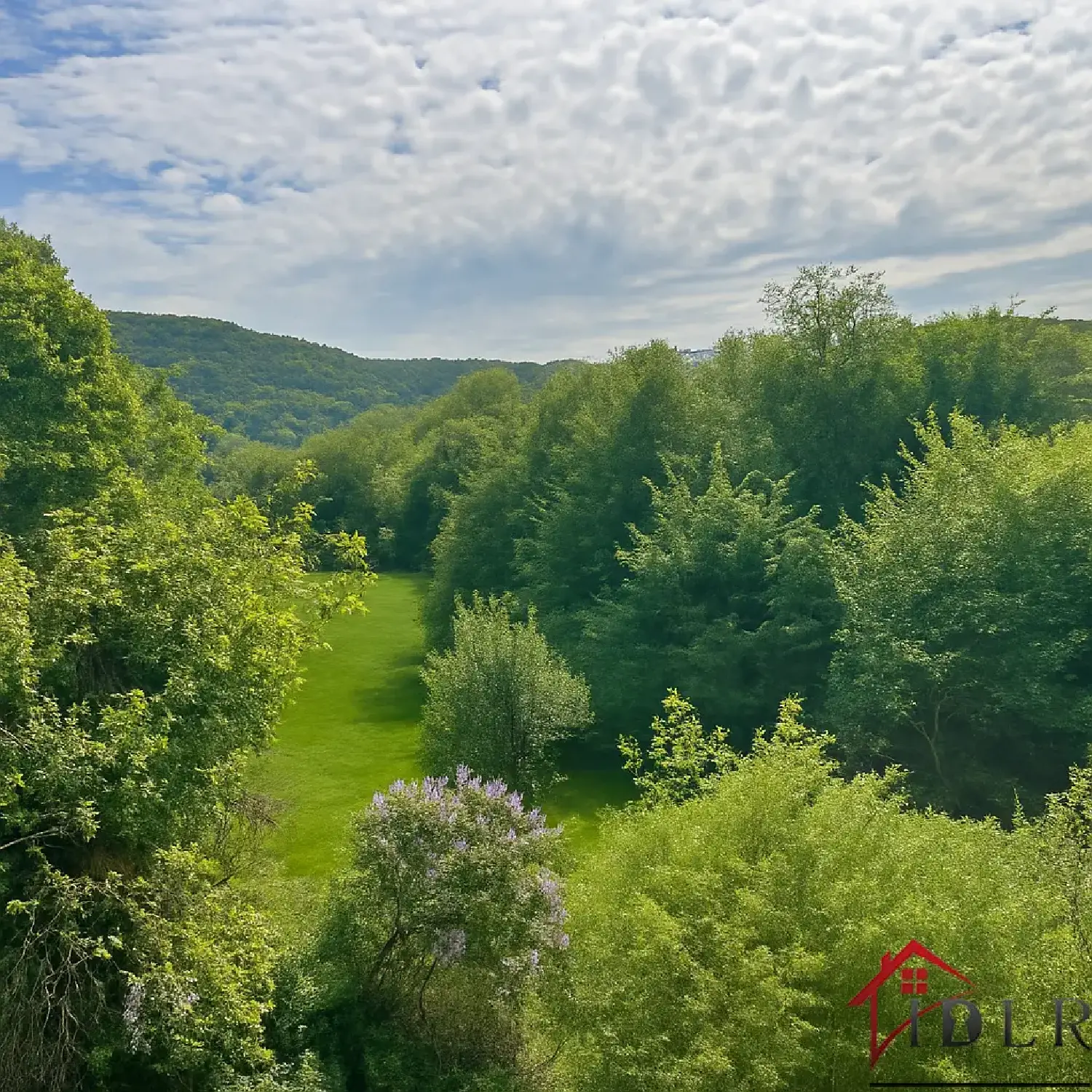  te koop huis Fresse Haute-Saône 2