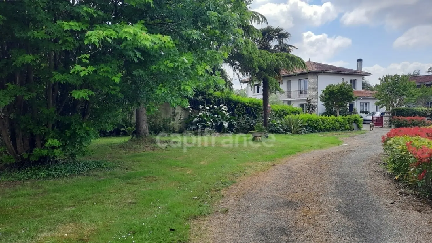  à vendre maison Geaune Landes 4