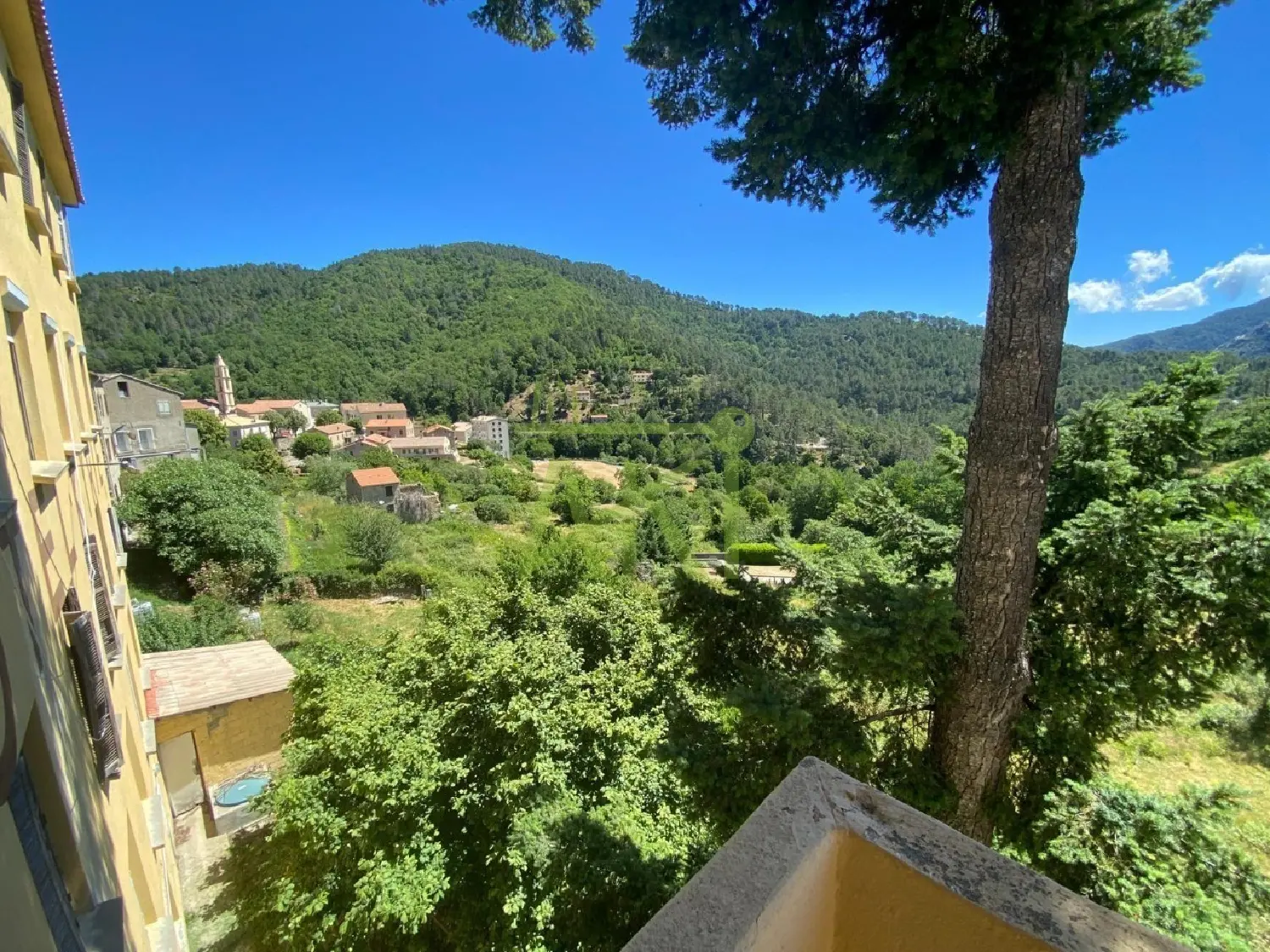  à vendre maison Ghisoni Haute-Corse 4