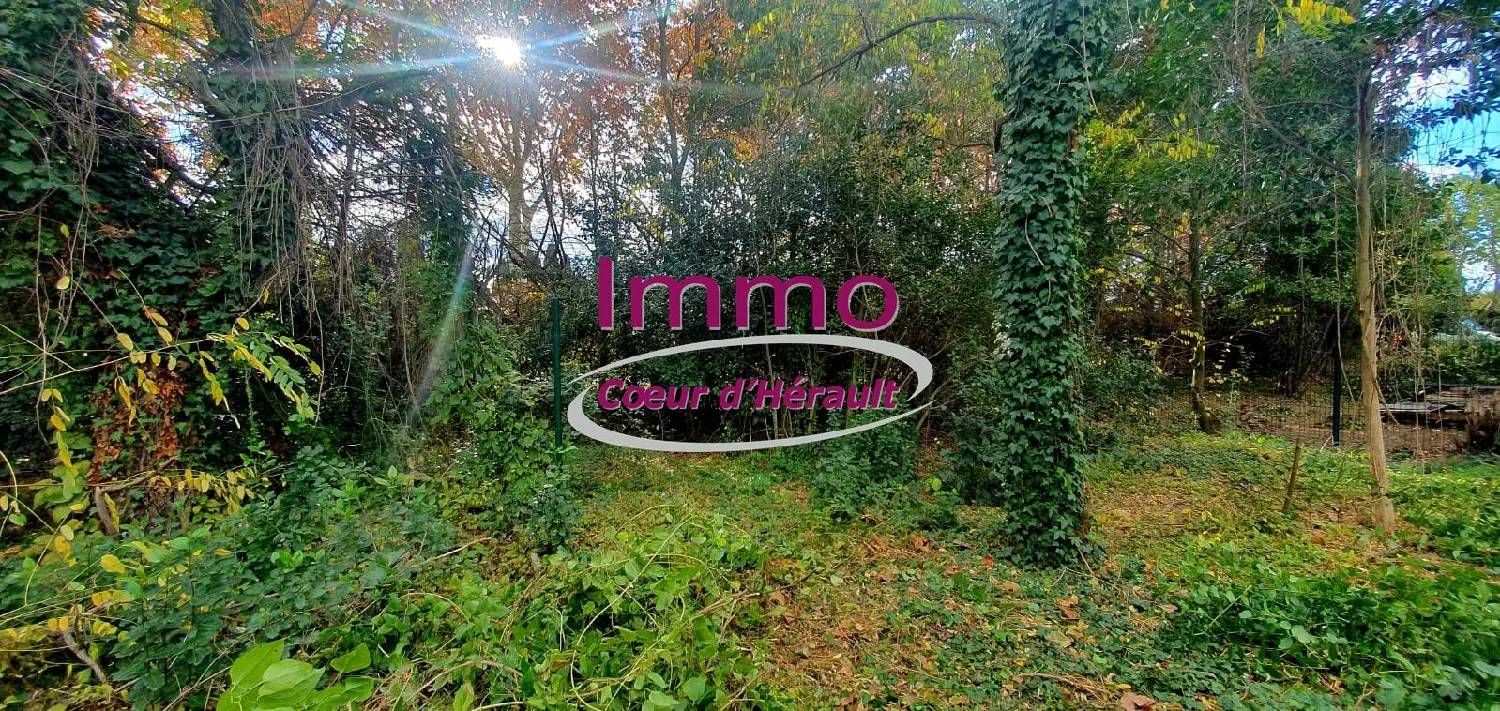  en venta casa Gignac Hérault 8