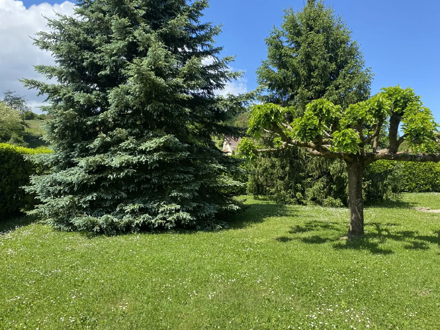  en venta casa Granieu Isère 5