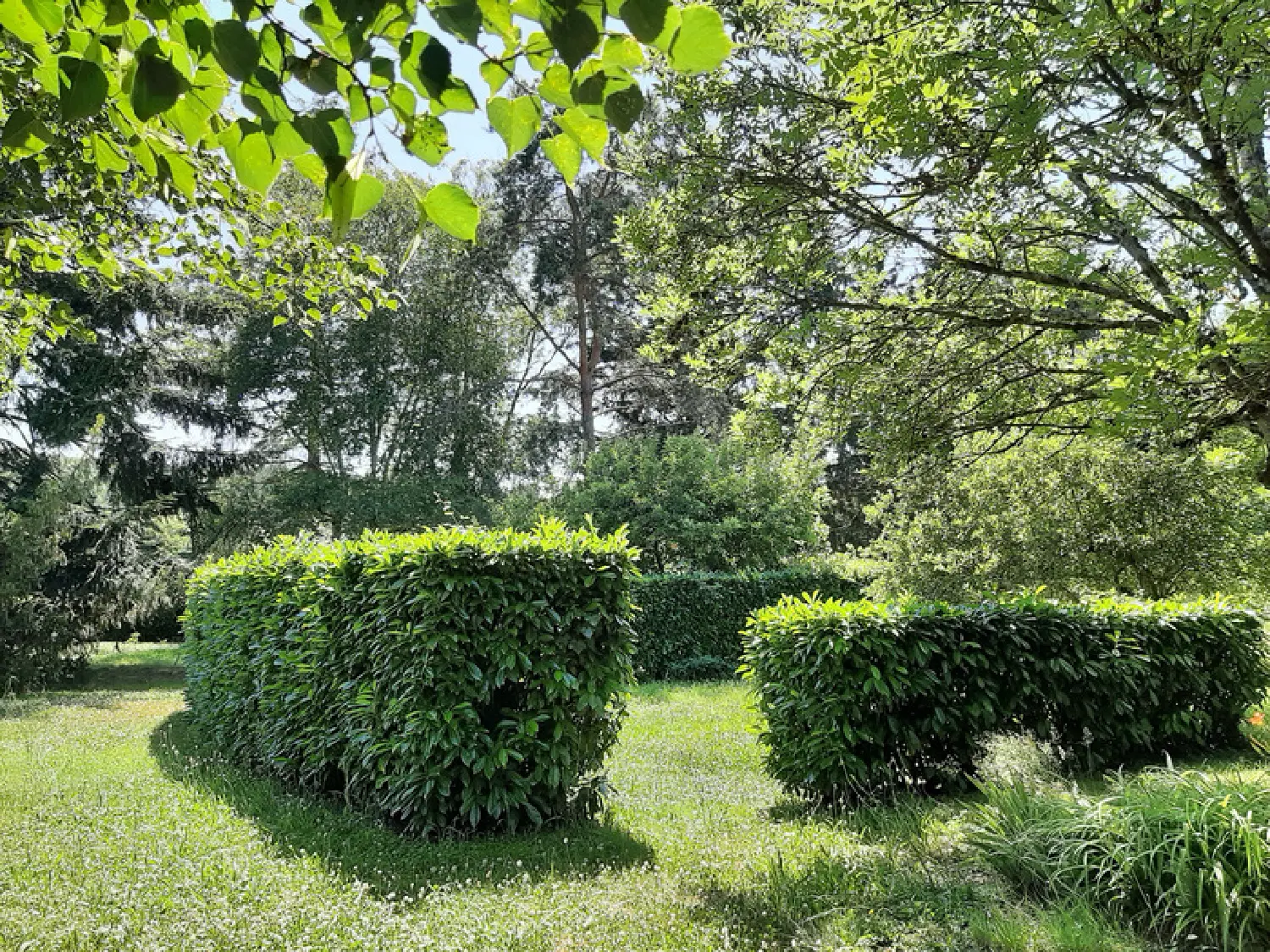 for sale house Gueugnon Saône-et-Loire 4