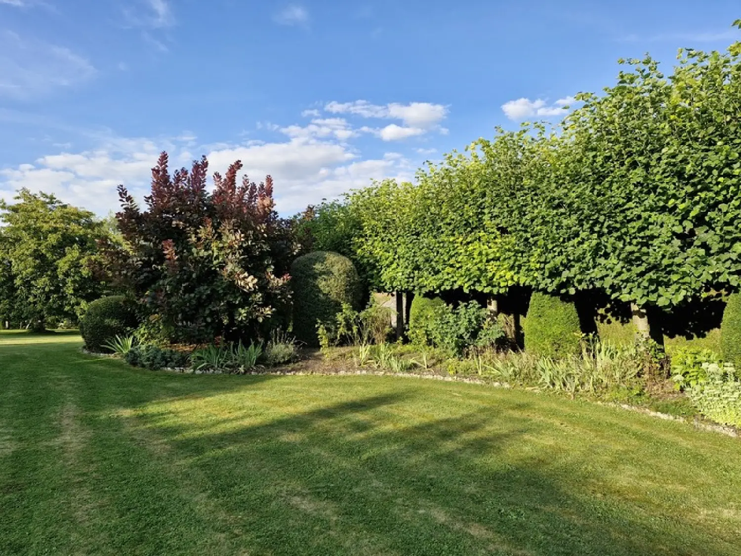  te koop huis Jonchery-sur-Vesle Marne 3