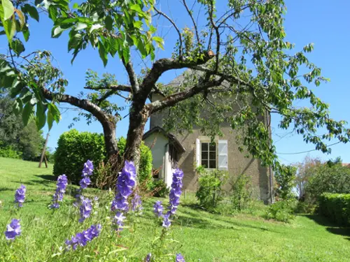 Juillac Corrèze Haus Bild 7098045