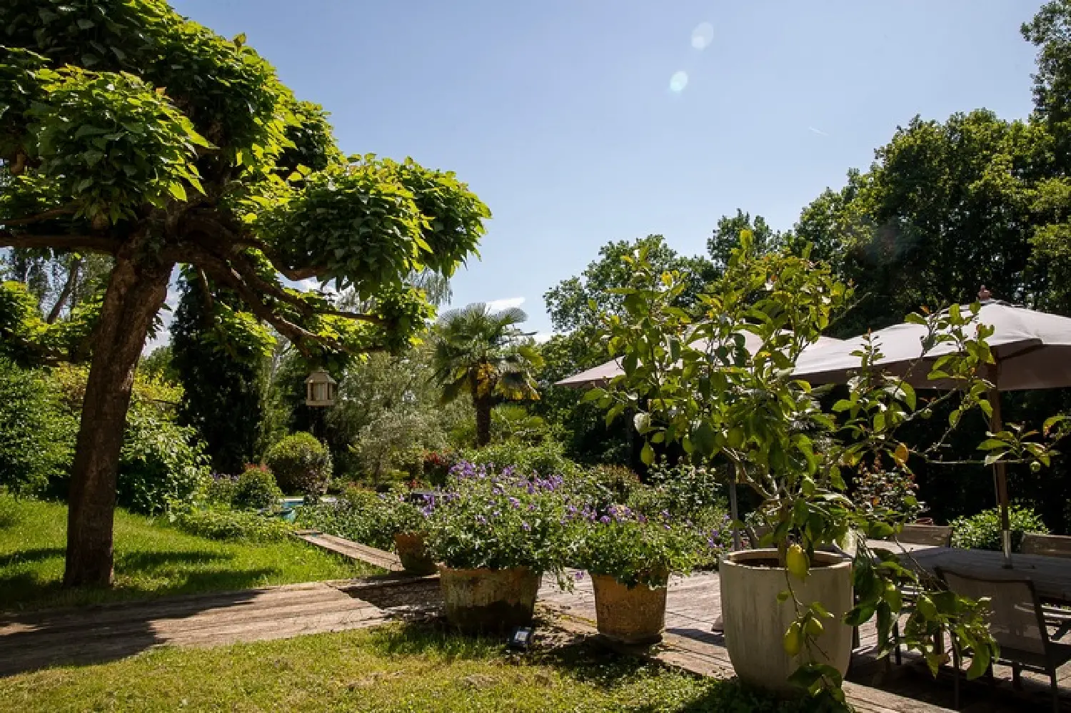 à vendre maison Jurançon Pyrénées-Atlantiques 7