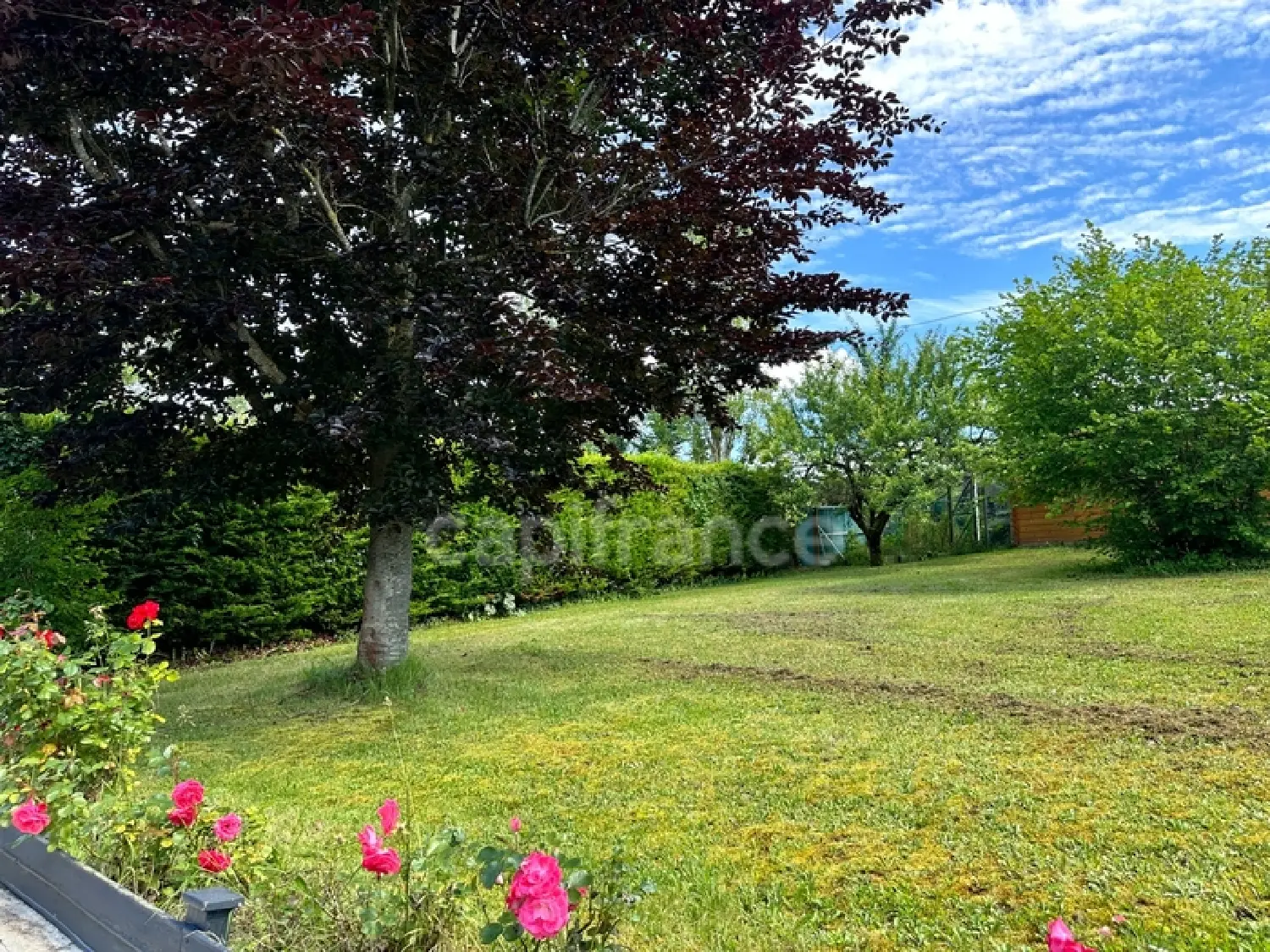  à vendre maison Jussy Yonne 4