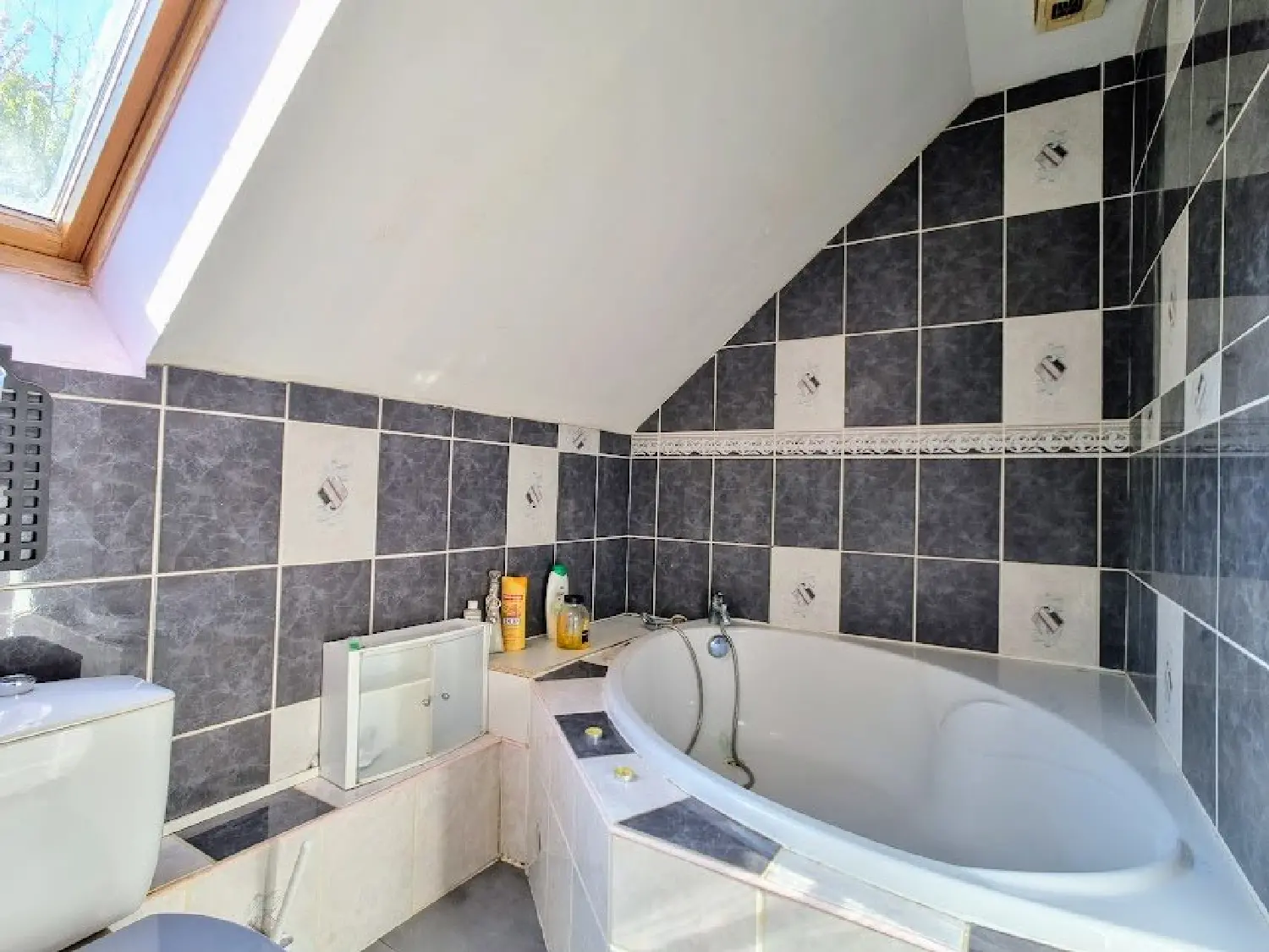  for sale house L'Isle-sur-le-Doubs Doubs 8