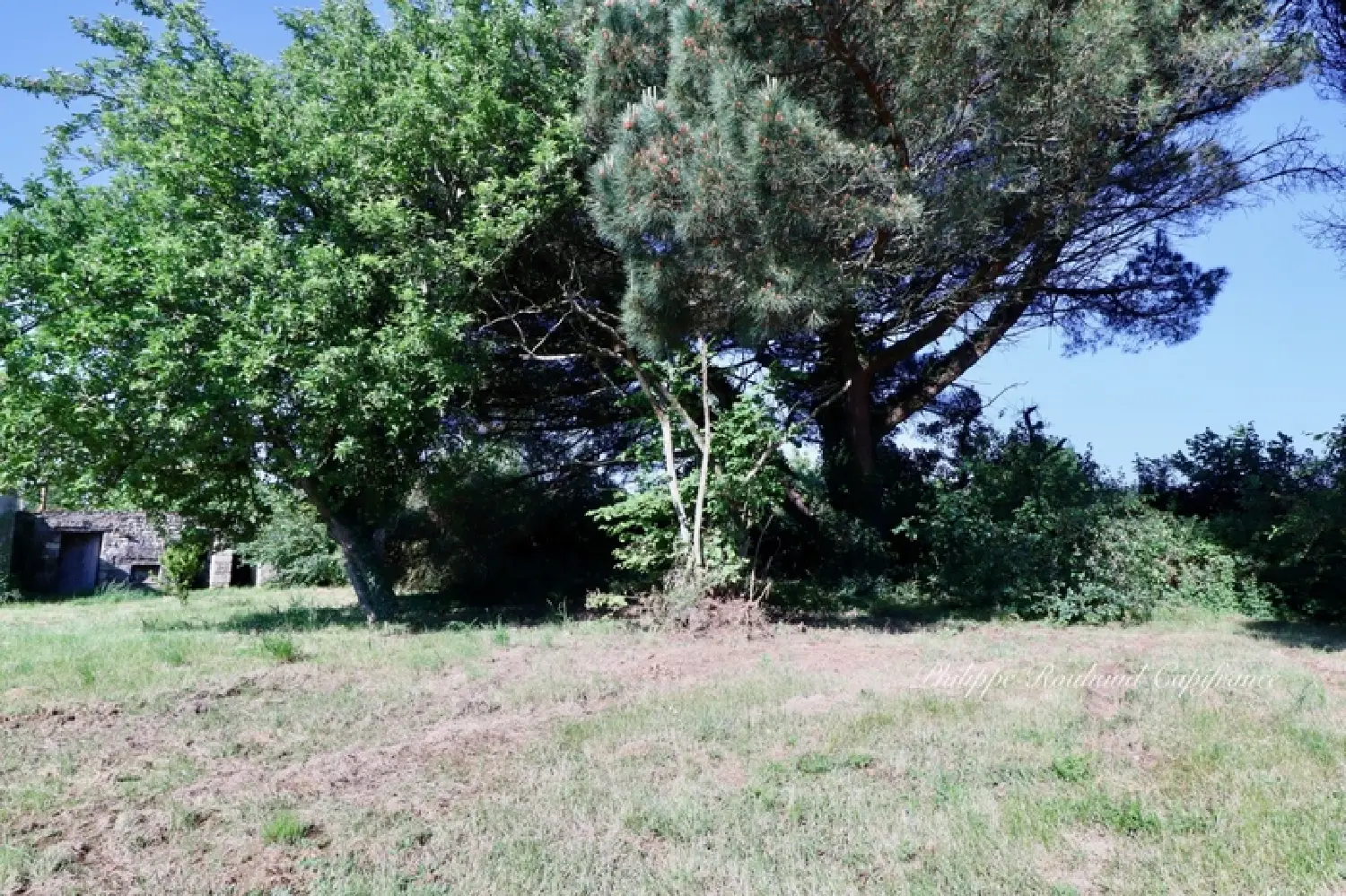  for sale house La Chapelle-Thémer Vendée 4