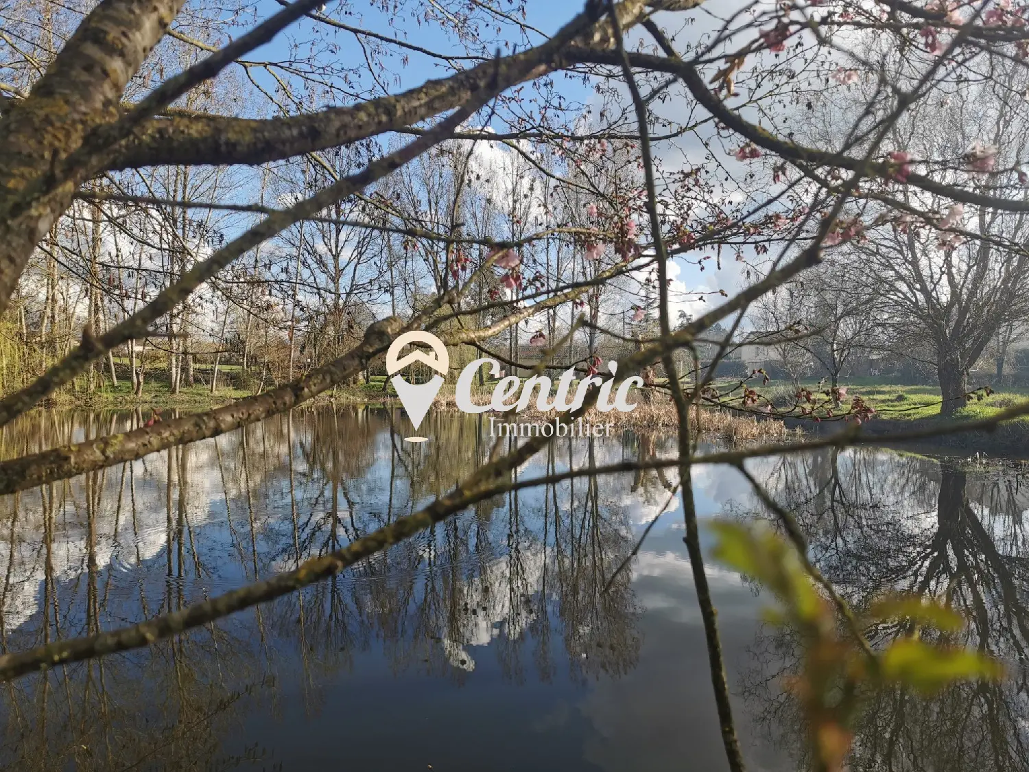  à vendre maison La Chapelle-Saint-Laurent Deux-Sèvres 2