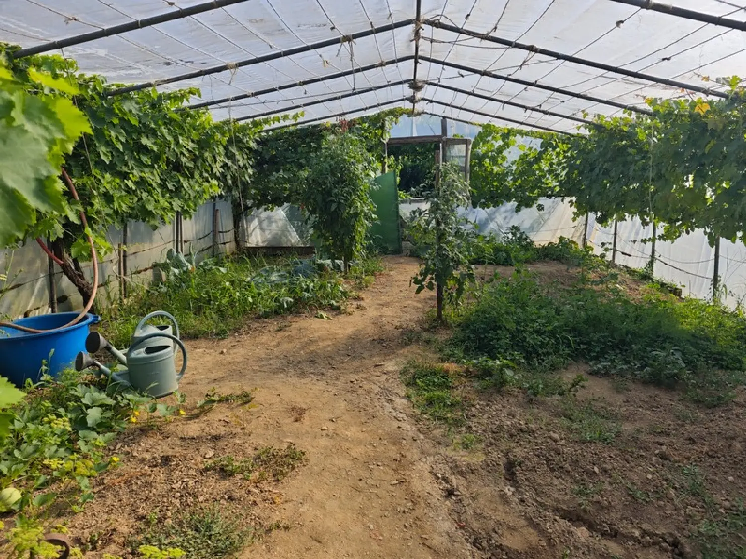  te koop huis La Châtaigneraie Vendée 7