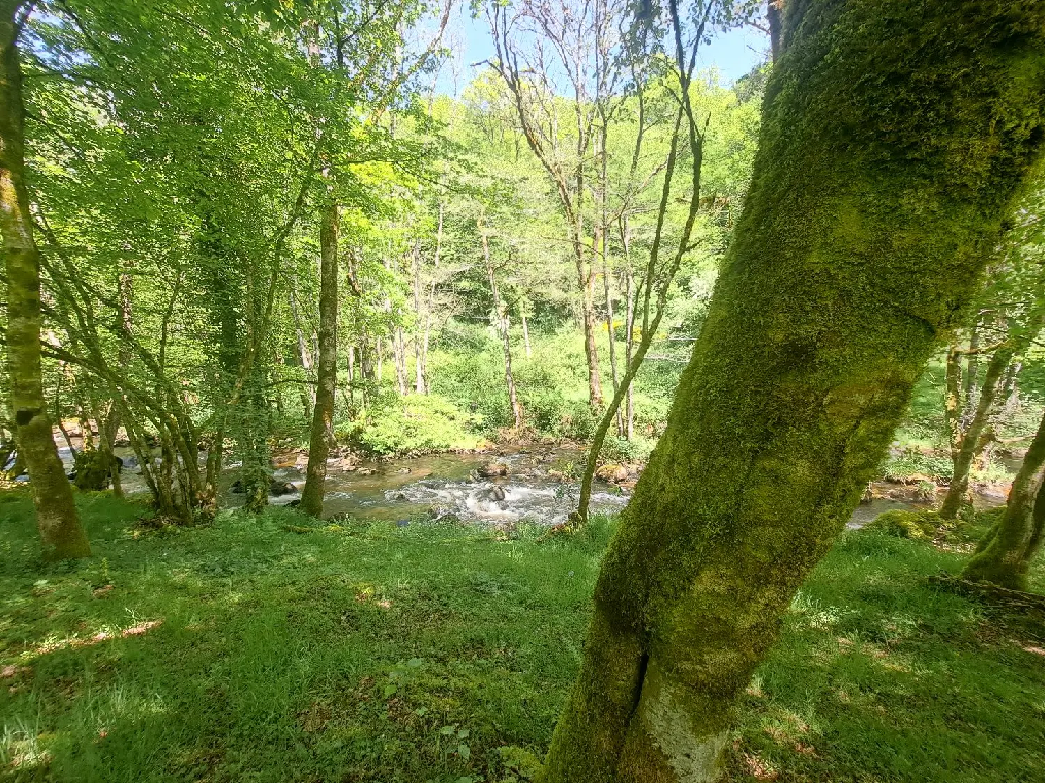  en venta casa La Roche-Canillac Corrèze 5