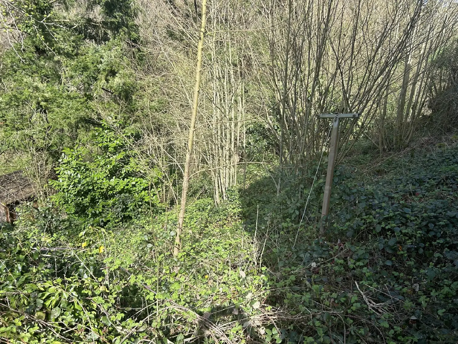  en venta casa La Selve Aveyron 4