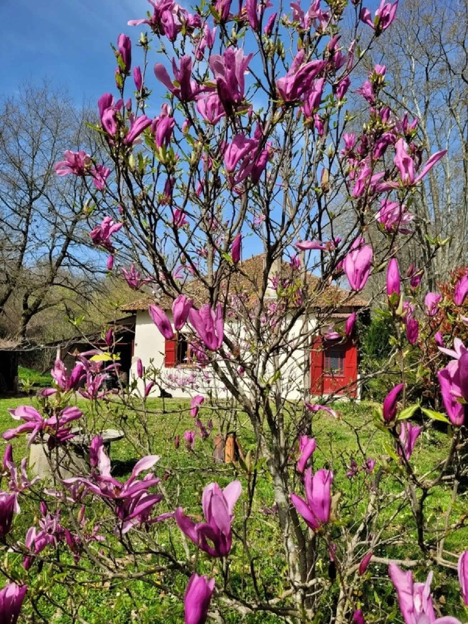  à vendre maison Labastide-d'Armagnac Landes 3