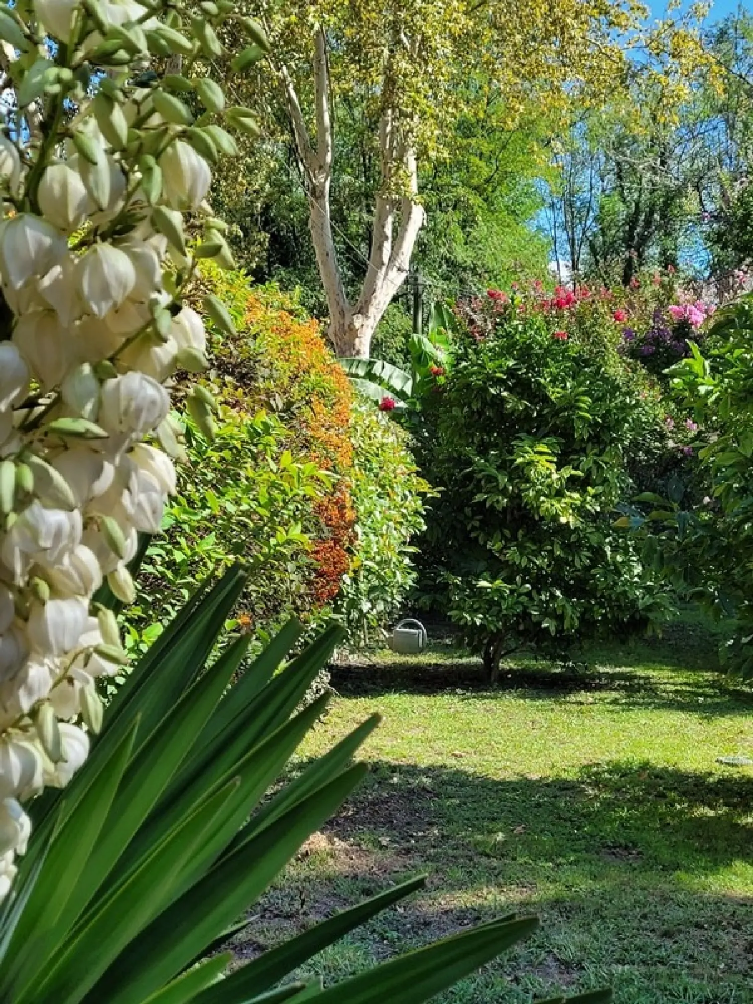  à vendre maison Labastide-d'Armagnac Landes 5
