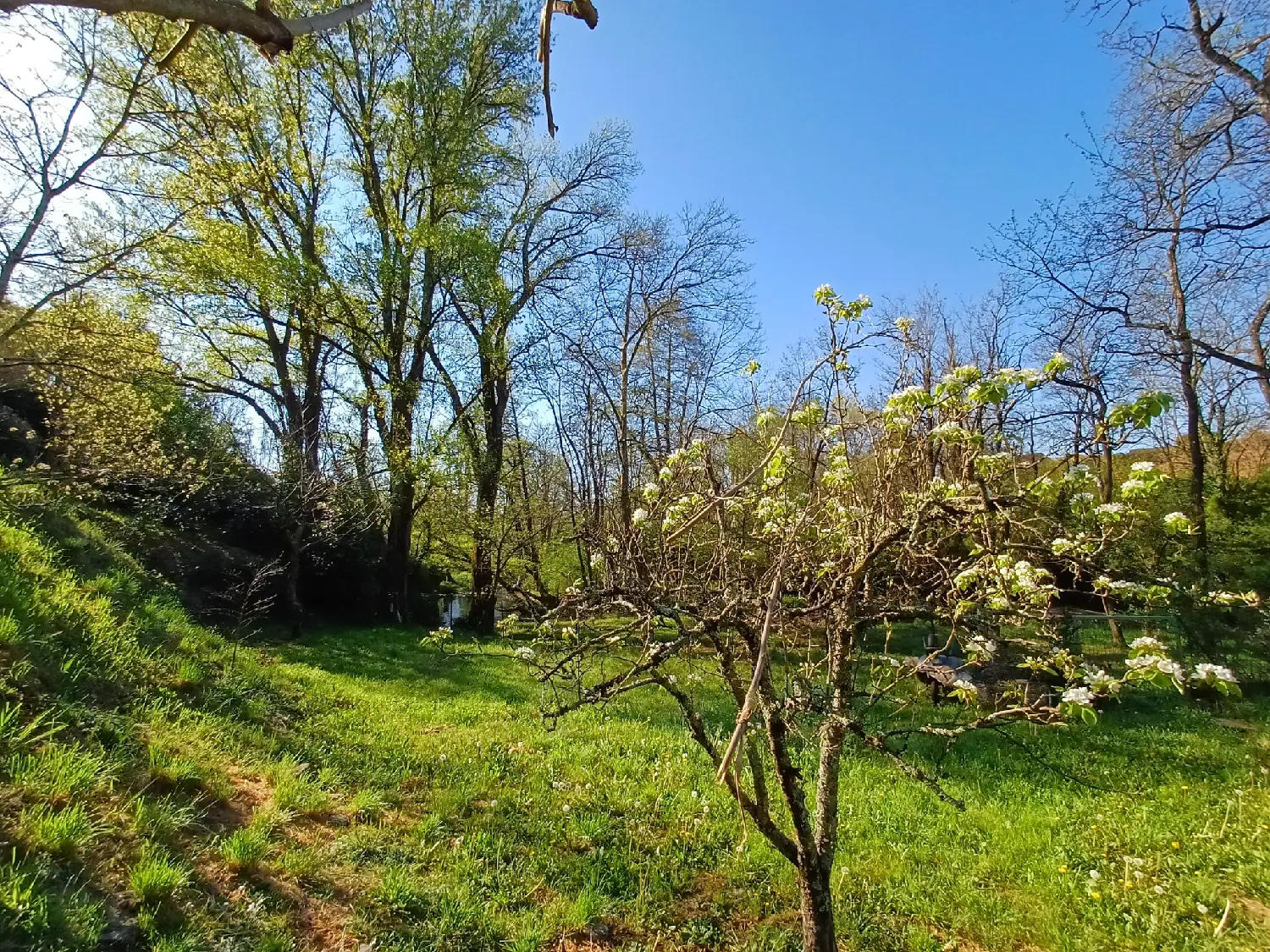 for sale house Lachapelle-sous-Aubenas Ardèche 8