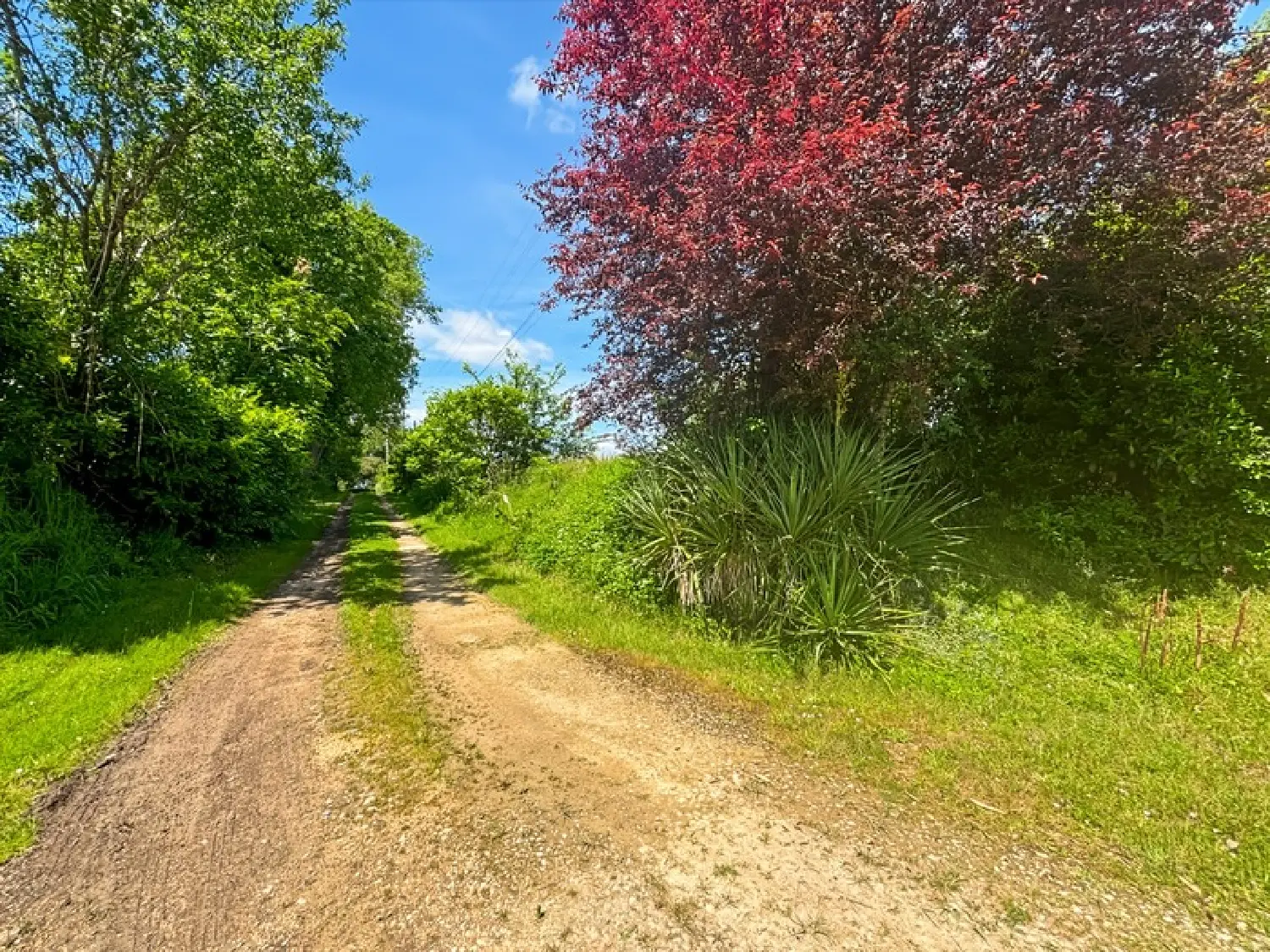  en venta casa Lagraulet-du-Gers Gers 7