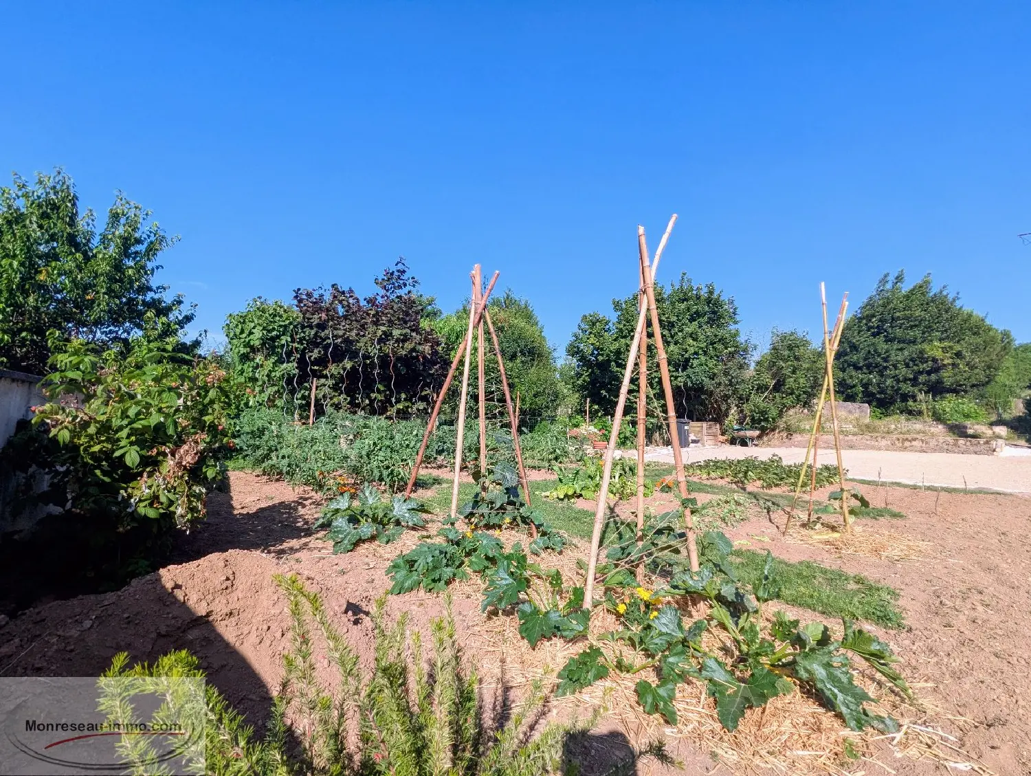  en venta casa Laives Saône-et-Loire 4