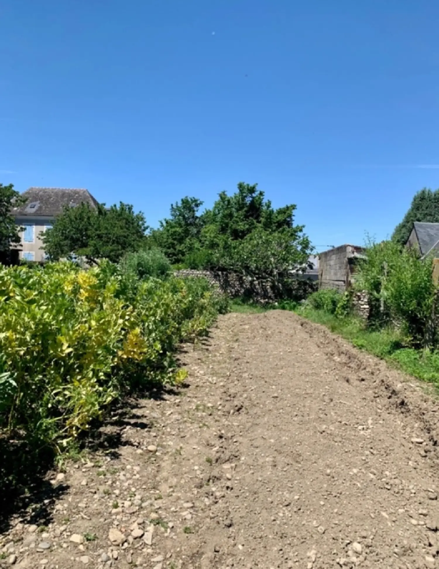  à vendre maison Laloubère Hautes-Pyrénées 8