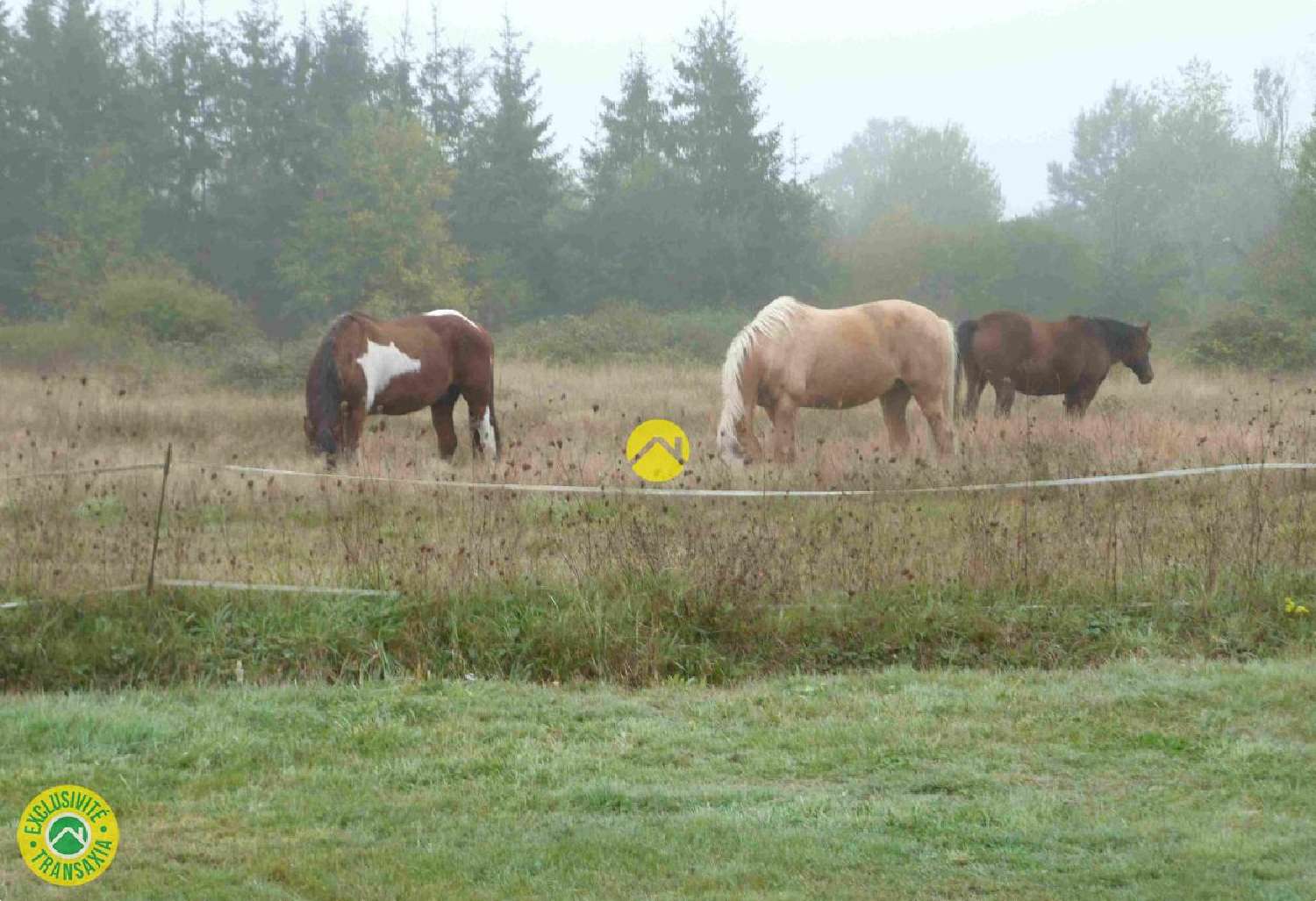  te koop huis Lamotte-Beuvron Loir-et-Cher 8