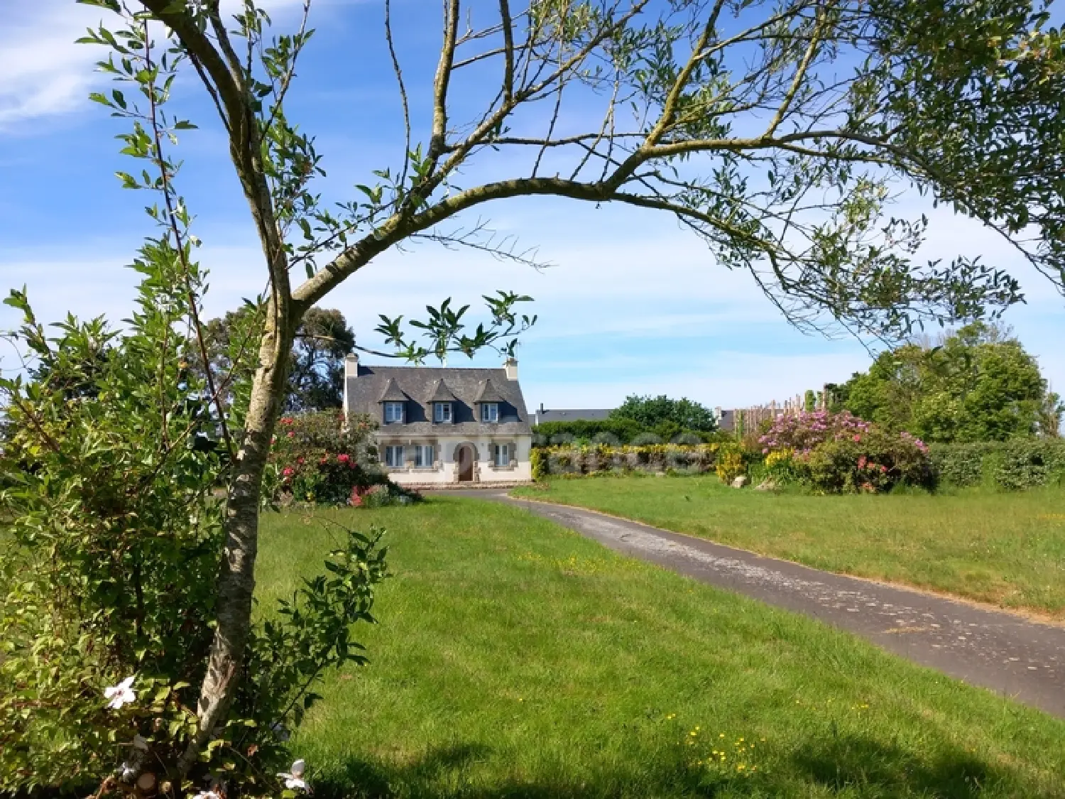  à vendre maison Langoat Côtes-d'Armor 1