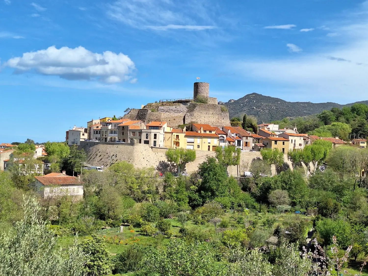  kaufen Haus Laroque-des-Albères Pyrénées-Orientales 4